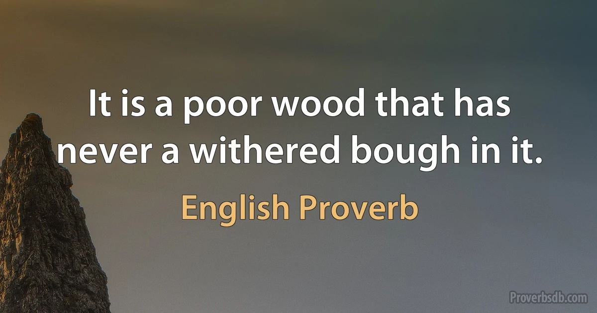 It is a poor wood that has never a withered bough in it. (English Proverb)