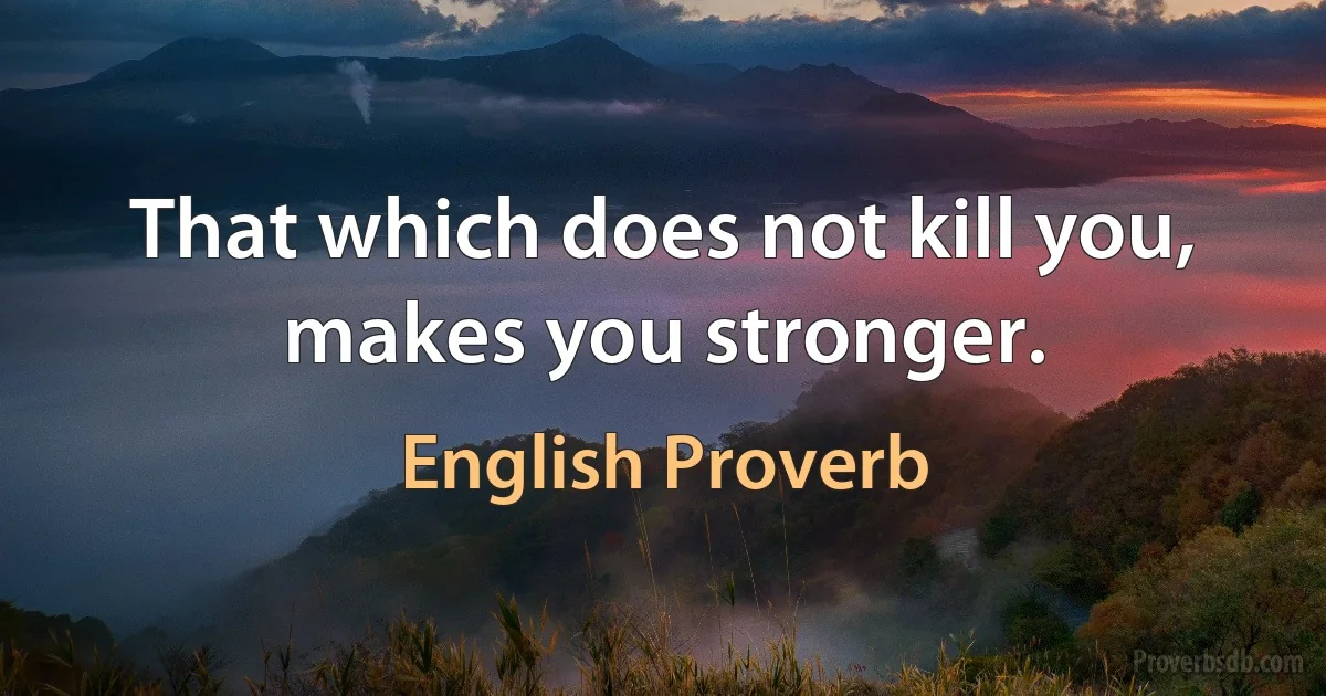 That which does not kill you, makes you stronger. (English Proverb)