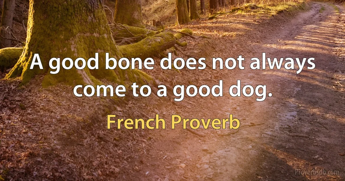 A good bone does not always come to a good dog. (French Proverb)