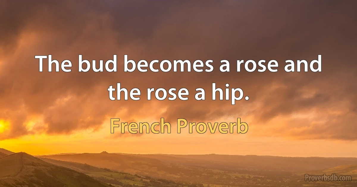 The bud becomes a rose and the rose a hip. (French Proverb)