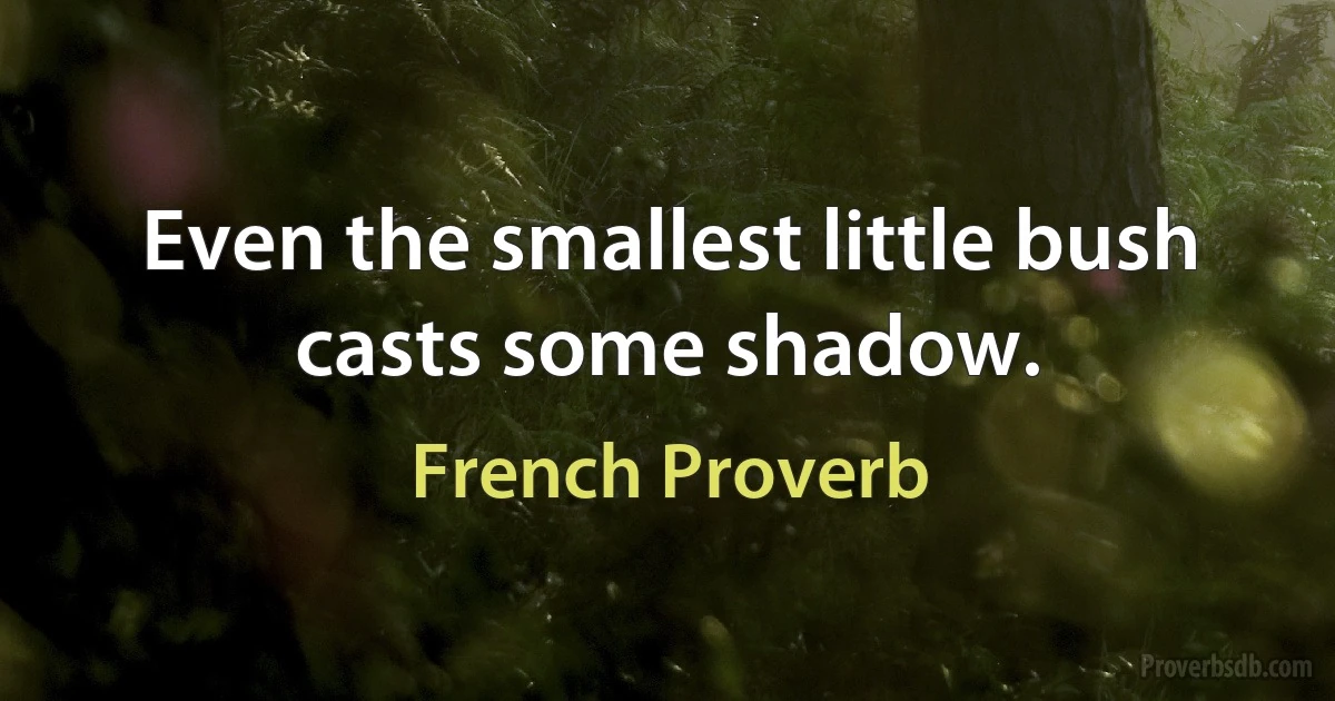 Even the smallest little bush casts some shadow. (French Proverb)