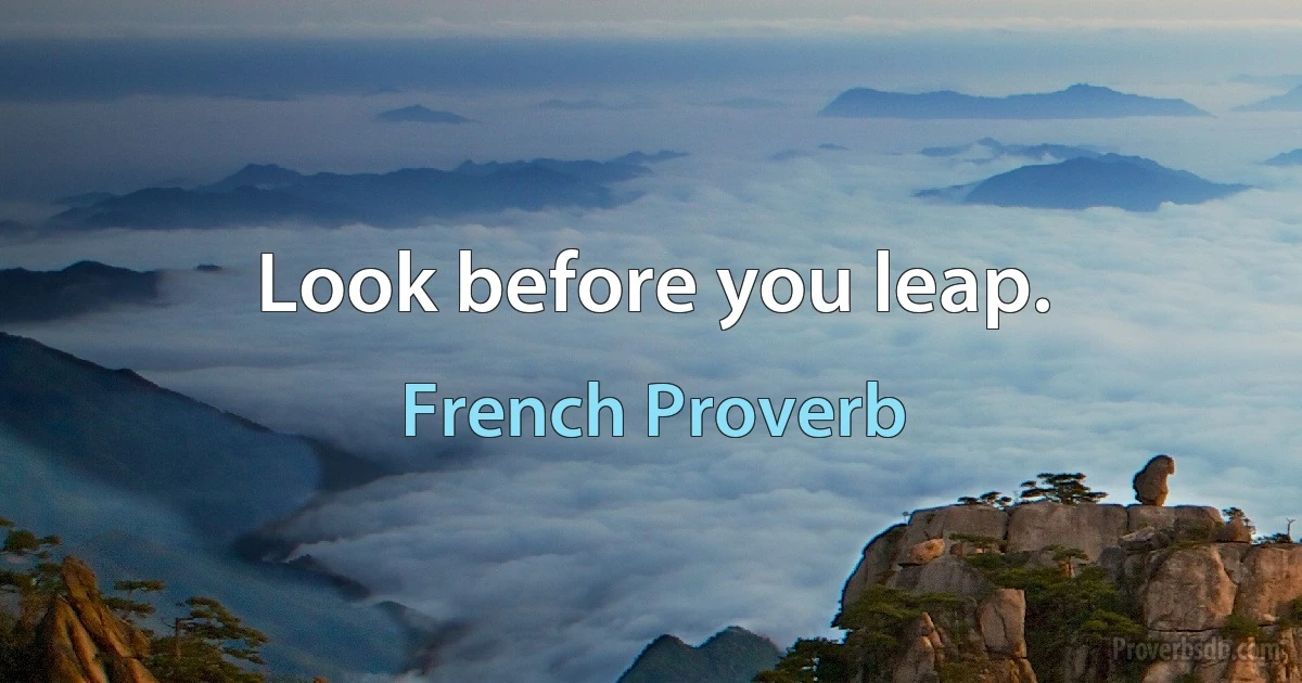 Look before you leap. (French Proverb)