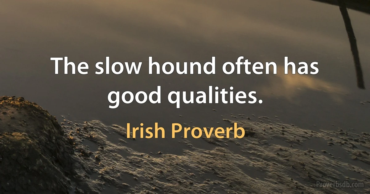 The slow hound often has good qualities. (Irish Proverb)