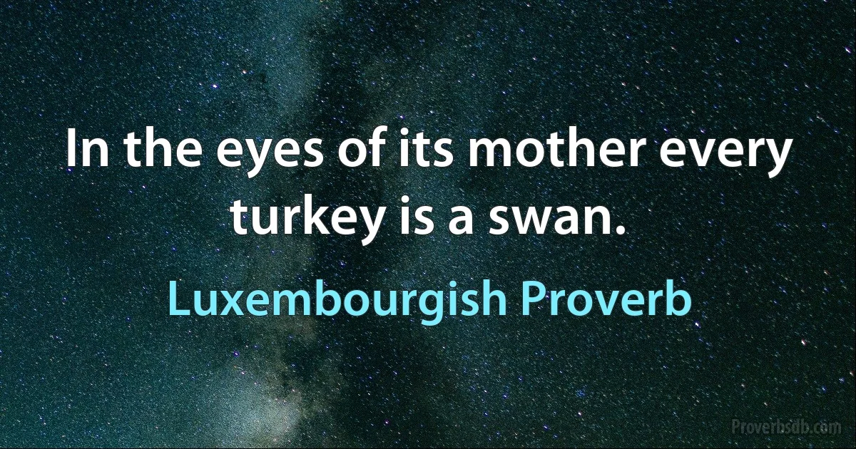 In the eyes of its mother every turkey is a swan. (Luxembourgish Proverb)