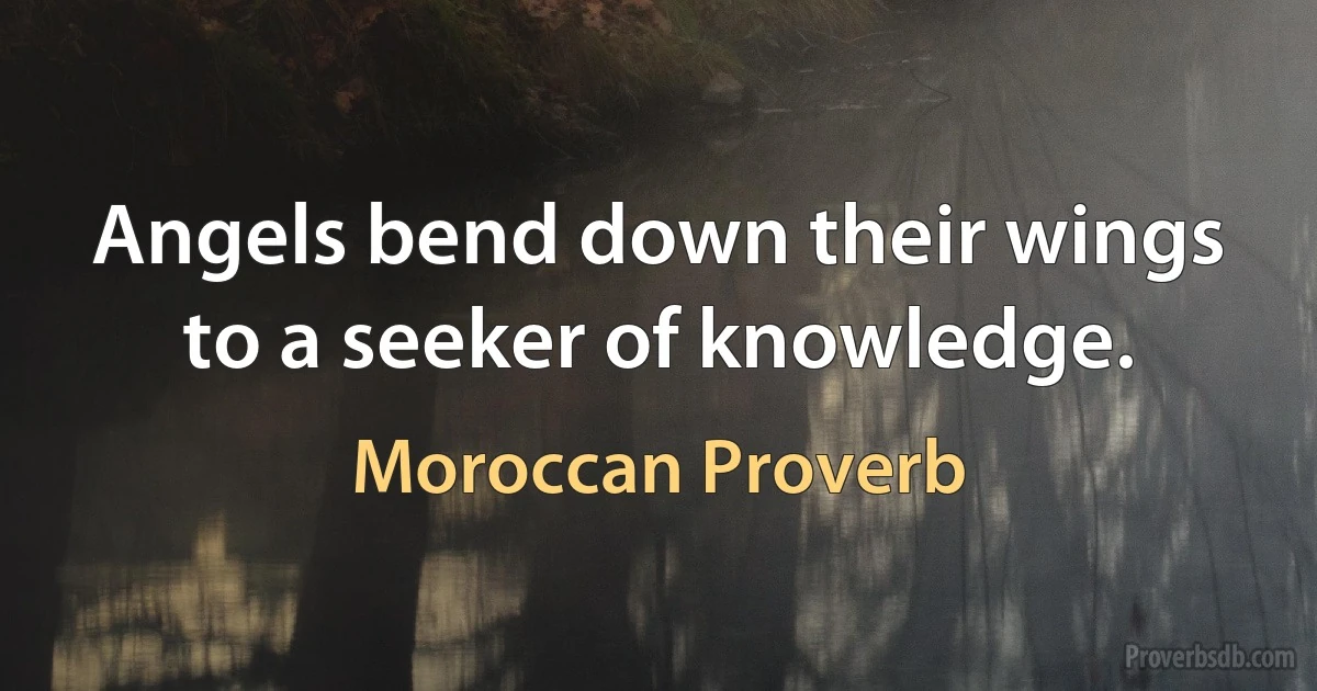 Angels bend down their wings to a seeker of knowledge. (Moroccan Proverb)