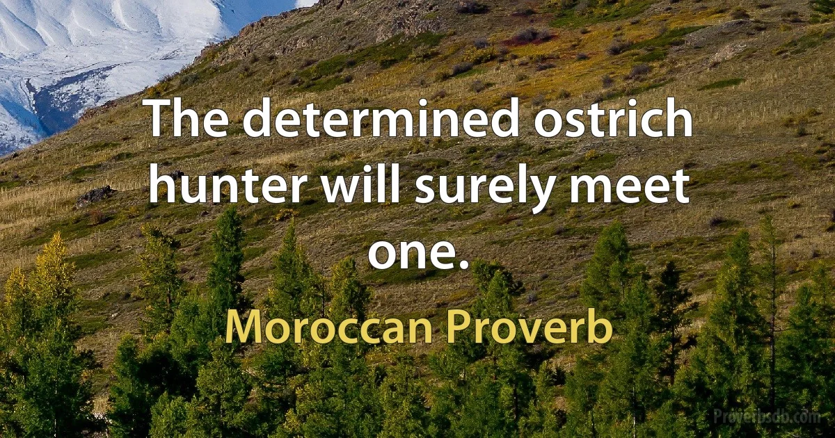 The determined ostrich hunter will surely meet one. (Moroccan Proverb)