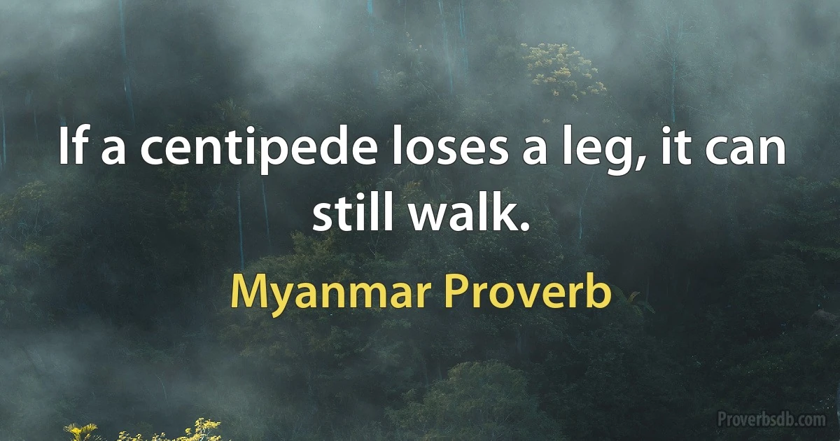 If a centipede loses a leg, it can still walk. (Myanmar Proverb)