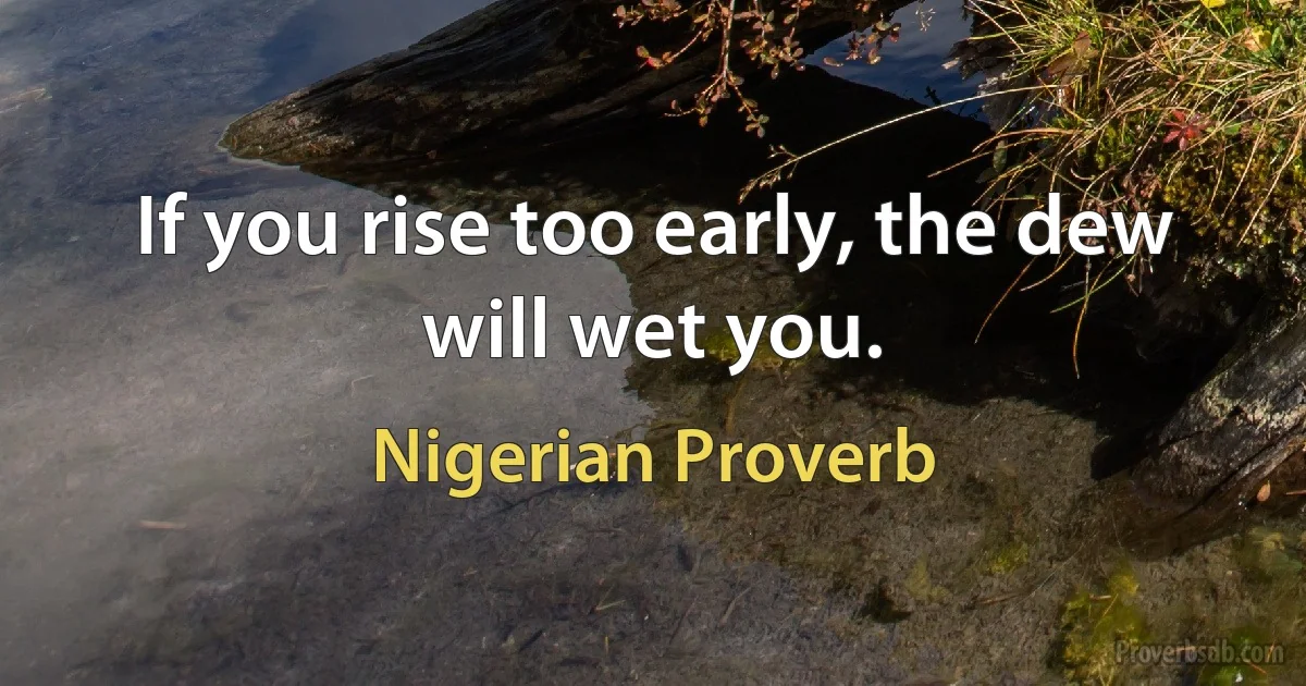 If you rise too early, the dew will wet you. (Nigerian Proverb)