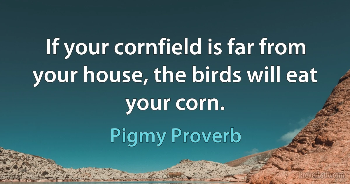 If your cornfield is far from your house, the birds will eat your corn. (Pigmy Proverb)