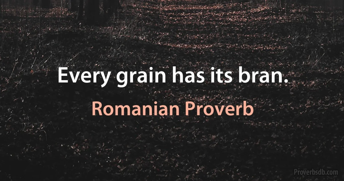 Every grain has its bran. (Romanian Proverb)