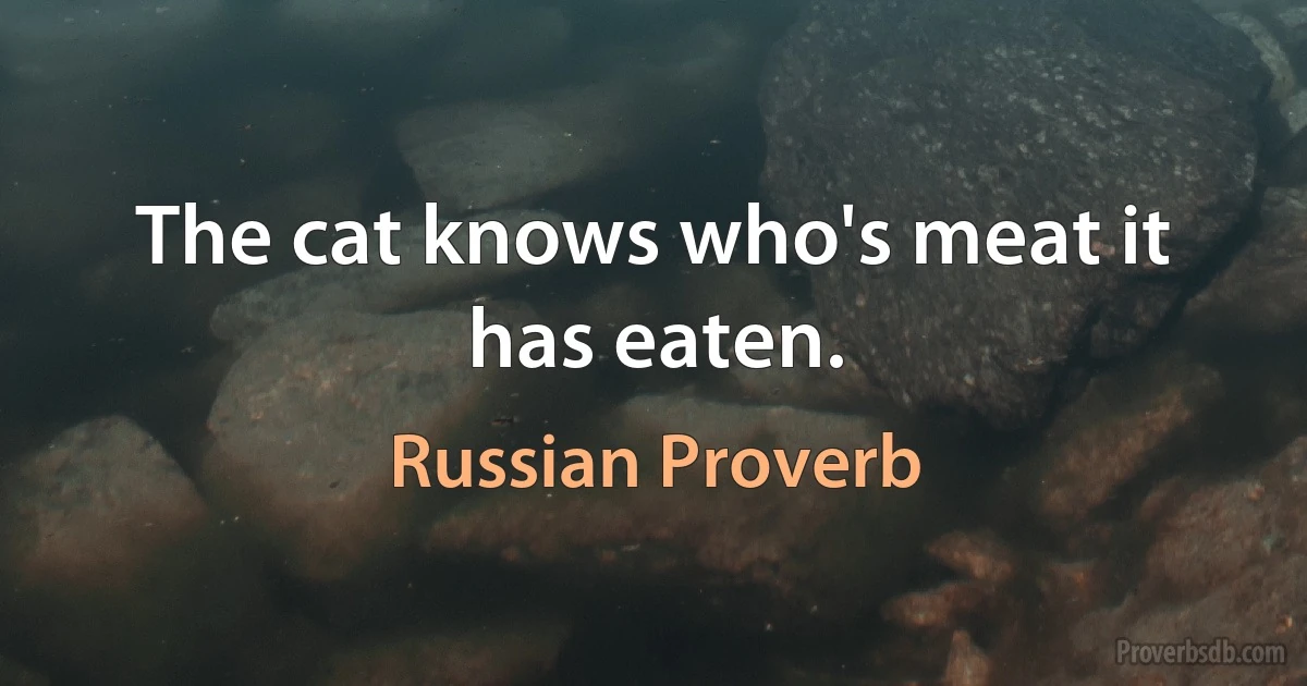 The cat knows who's meat it has eaten. (Russian Proverb)