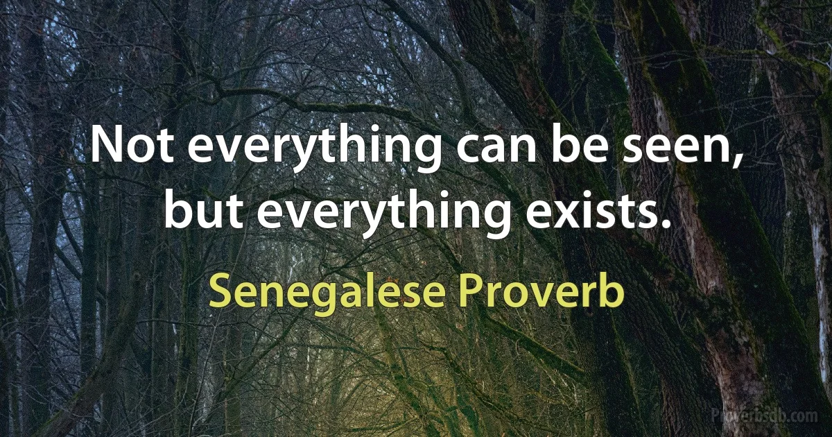 Not everything can be seen, but everything exists. (Senegalese Proverb)