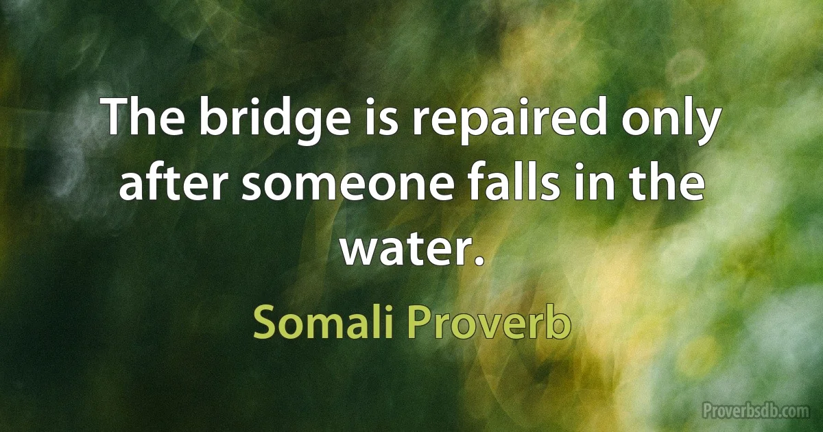 The bridge is repaired only after someone falls in the water. (Somali Proverb)