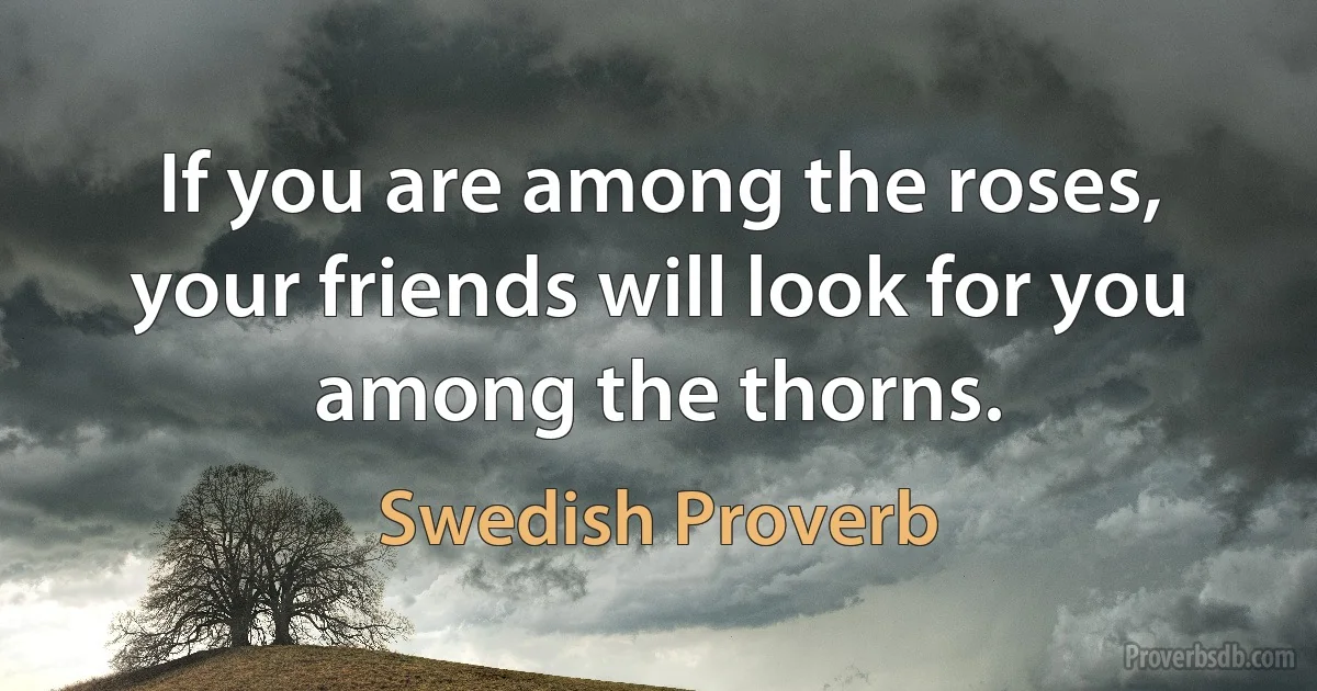 If you are among the roses, your friends will look for you among the thorns. (Swedish Proverb)