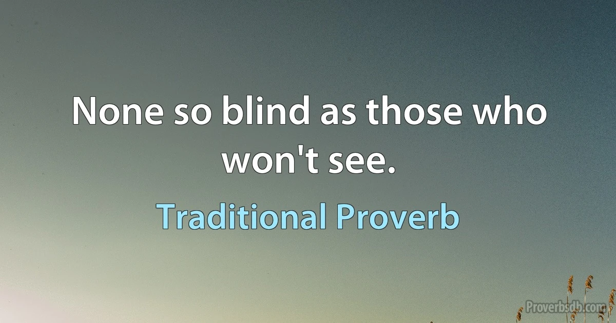 None so blind as those who won't see. (Traditional Proverb)