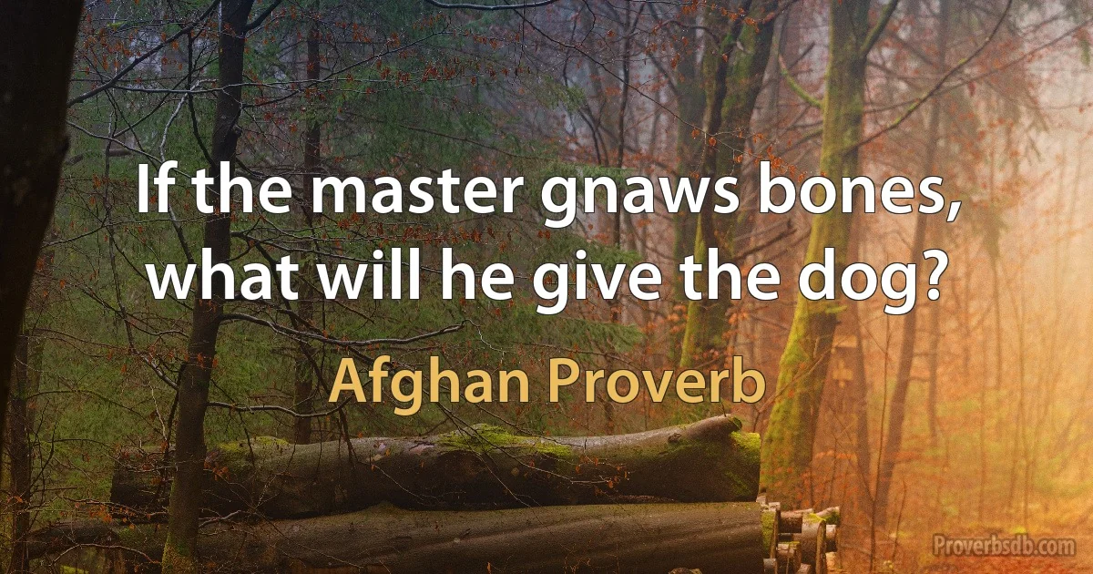 If the master gnaws bones, what will he give the dog? (Afghan Proverb)