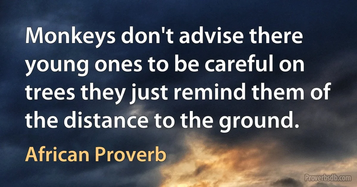 Monkeys don't advise there young ones to be careful on trees they just remind them of the distance to the ground. (African Proverb)