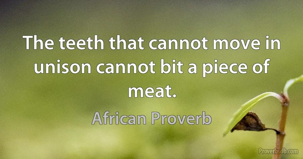 The teeth that cannot move in unison cannot bit a piece of meat. (African Proverb)