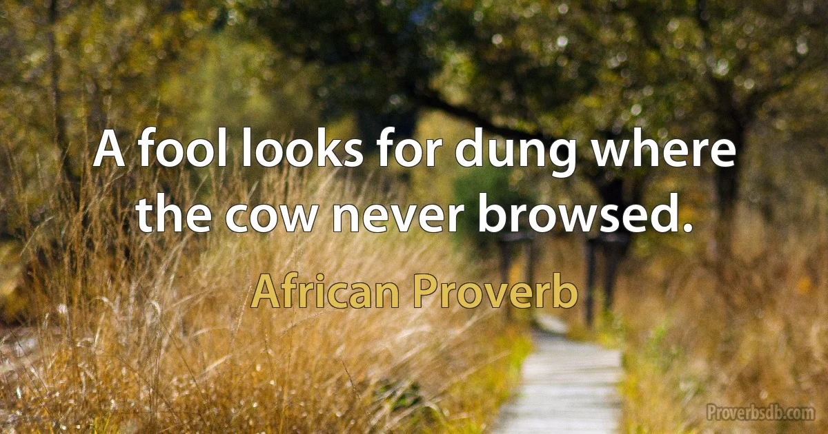 A fool looks for dung where the cow never browsed. (African Proverb)