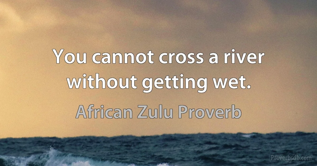 You cannot cross a river without getting wet. (African Zulu Proverb)