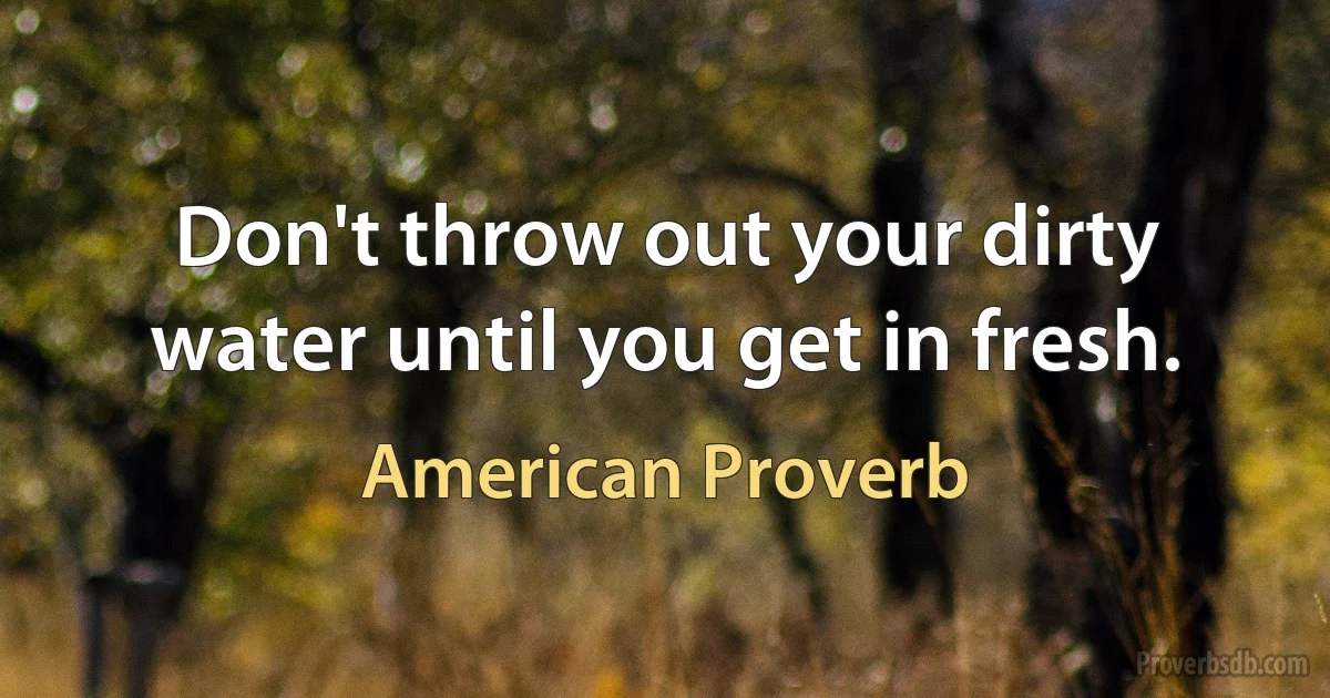 Don't throw out your dirty water until you get in fresh. (American Proverb)