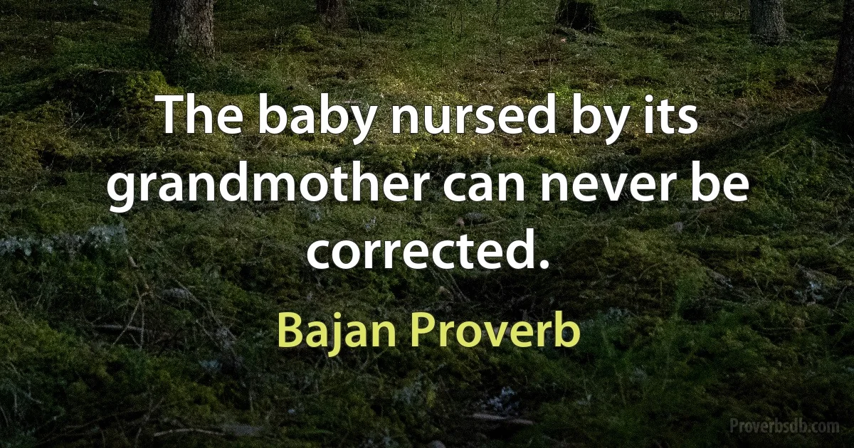 The baby nursed by its grandmother can never be corrected. (Bajan Proverb)