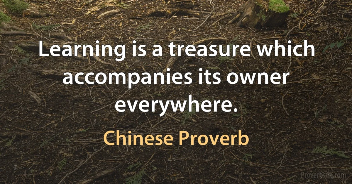 Learning is a treasure which accompanies its owner everywhere. (Chinese Proverb)