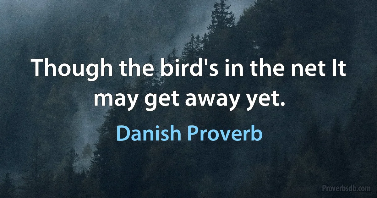 Though the bird's in the net It may get away yet. (Danish Proverb)