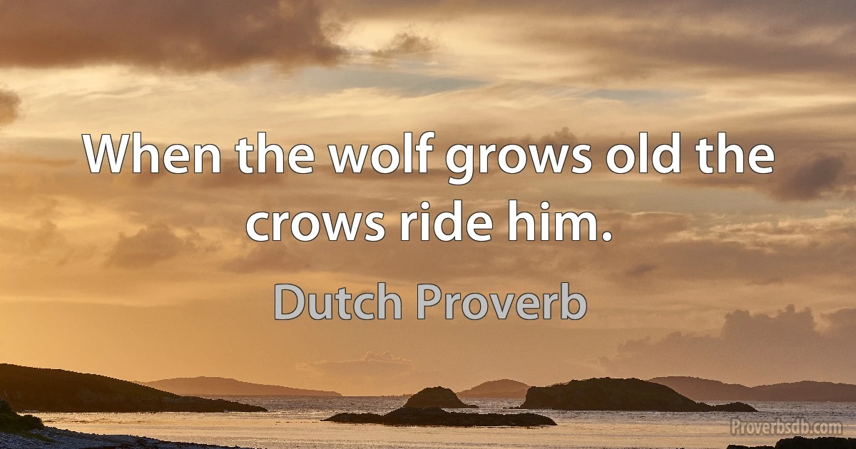 When the wolf grows old the crows ride him. (Dutch Proverb)