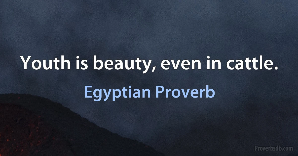 Youth is beauty, even in cattle. (Egyptian Proverb)