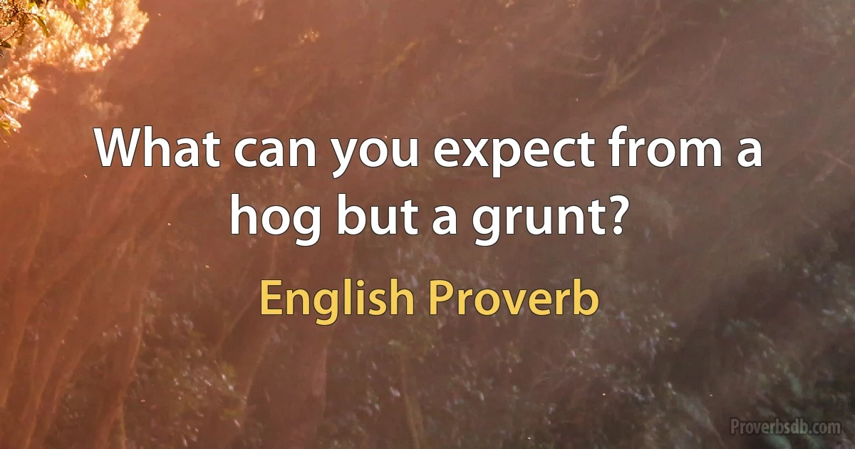 What can you expect from a hog but a grunt? (English Proverb)