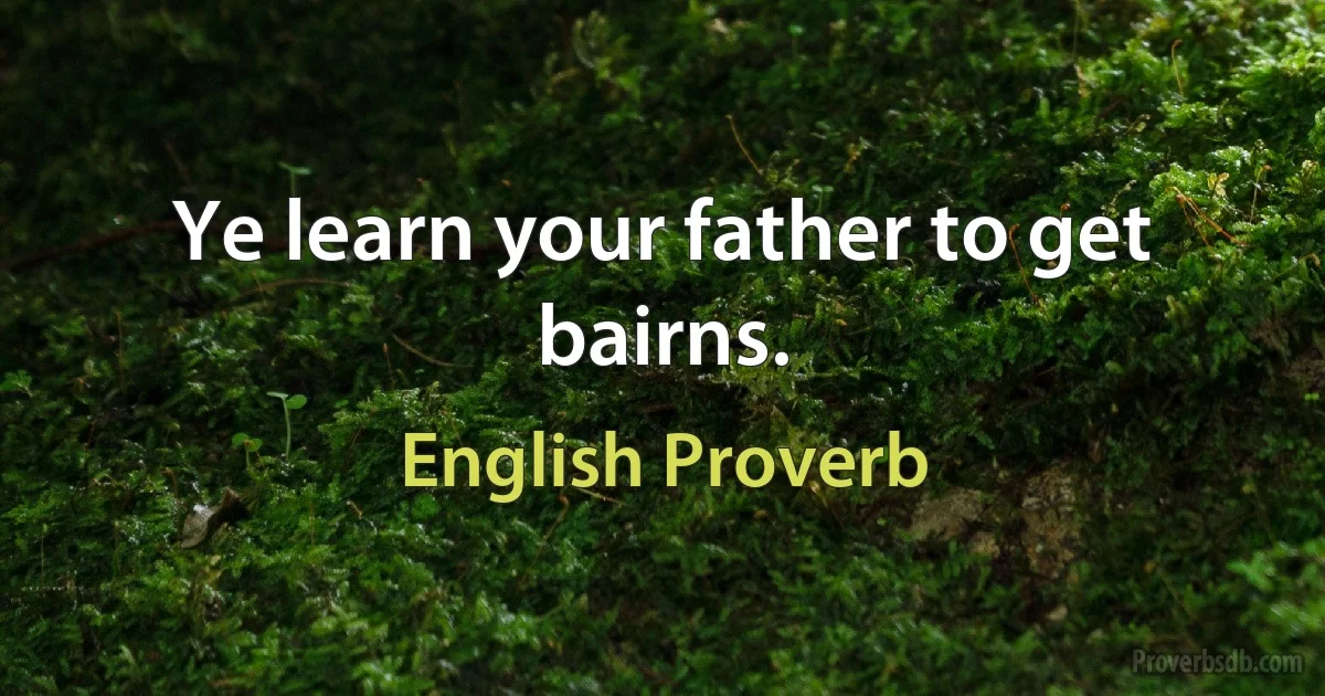 Ye learn your father to get bairns. (English Proverb)