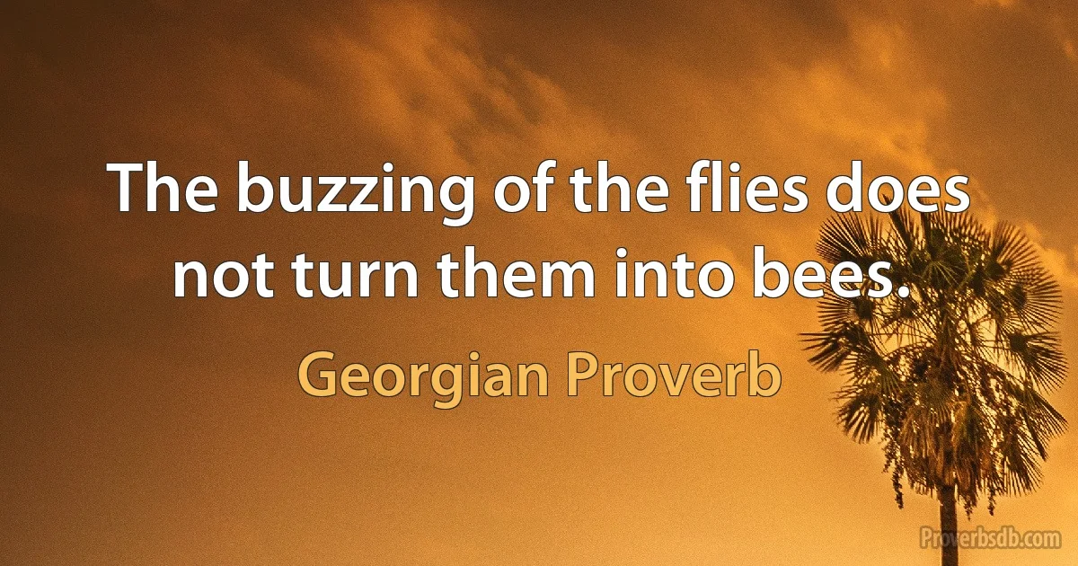 The buzzing of the flies does not turn them into bees. (Georgian Proverb)