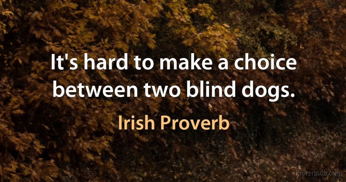 It's hard to make a choice between two blind dogs. (Irish Proverb)