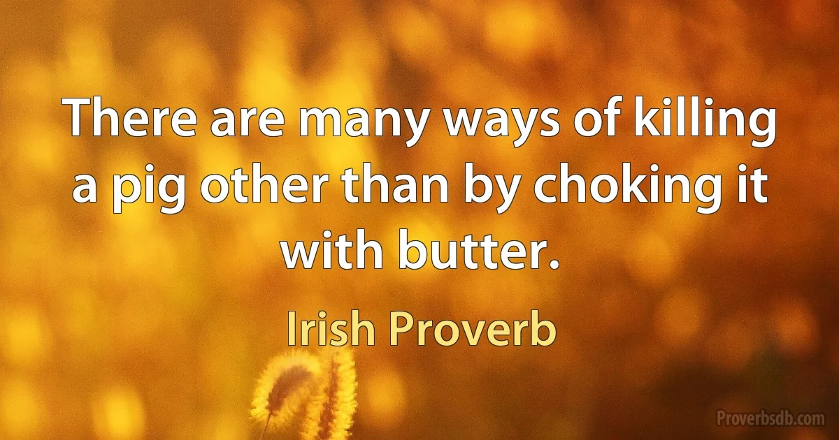 There are many ways of killing a pig other than by choking it with butter. (Irish Proverb)