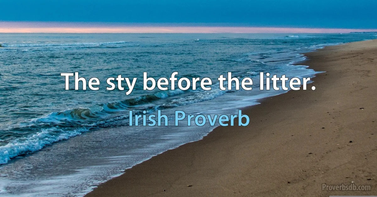 The sty before the litter. (Irish Proverb)