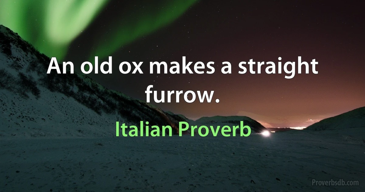 An old ox makes a straight furrow. (Italian Proverb)