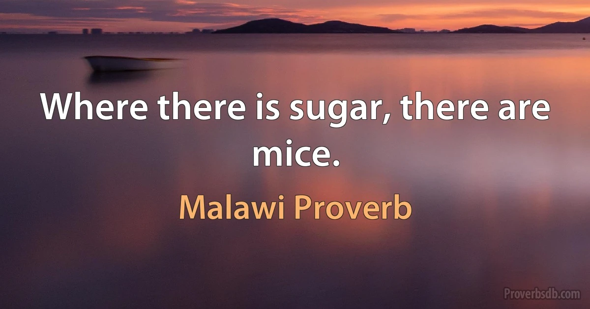 Where there is sugar, there are mice. (Malawi Proverb)