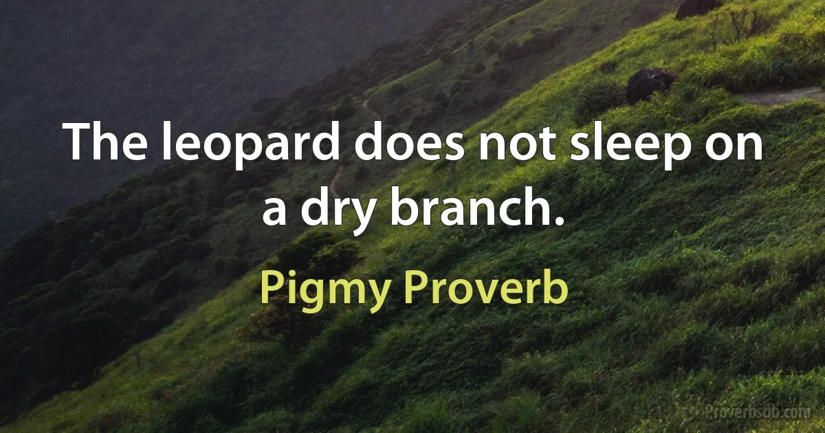 The leopard does not sleep on a dry branch. (Pigmy Proverb)