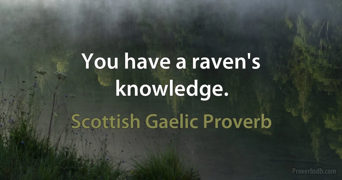 You have a raven's knowledge. (Scottish Gaelic Proverb)