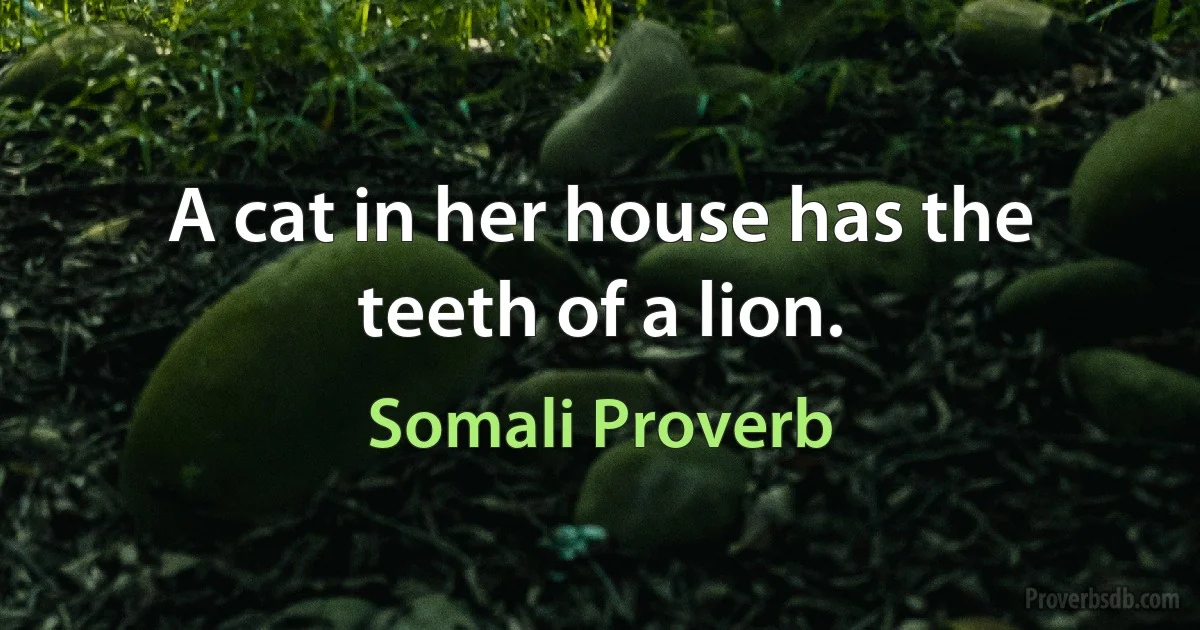 A cat in her house has the teeth of a lion. (Somali Proverb)