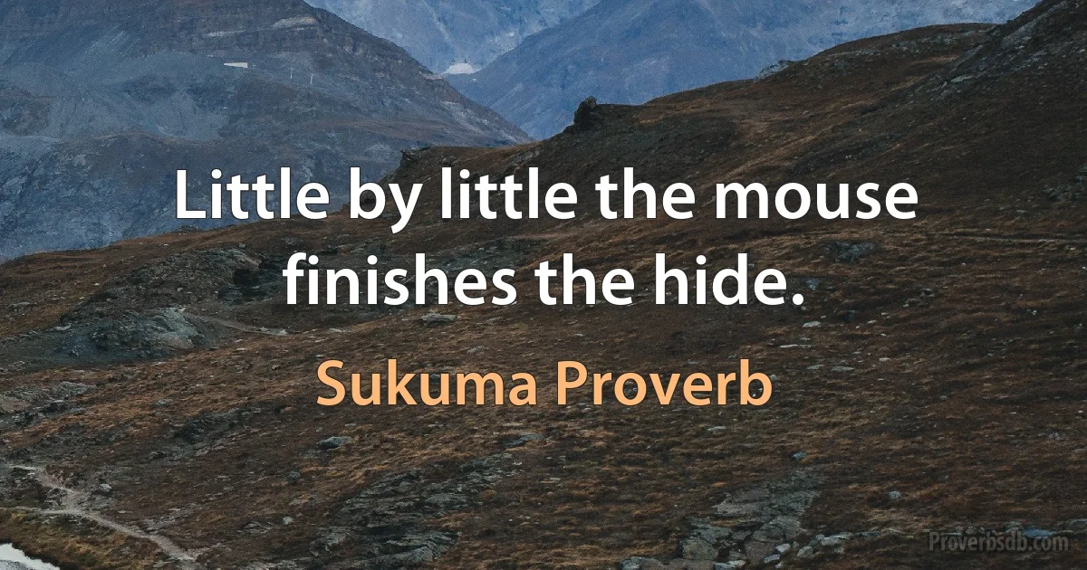 Little by little the mouse finishes the hide. (Sukuma Proverb)