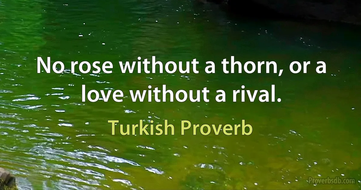 No rose without a thorn, or a love without a rival. (Turkish Proverb)