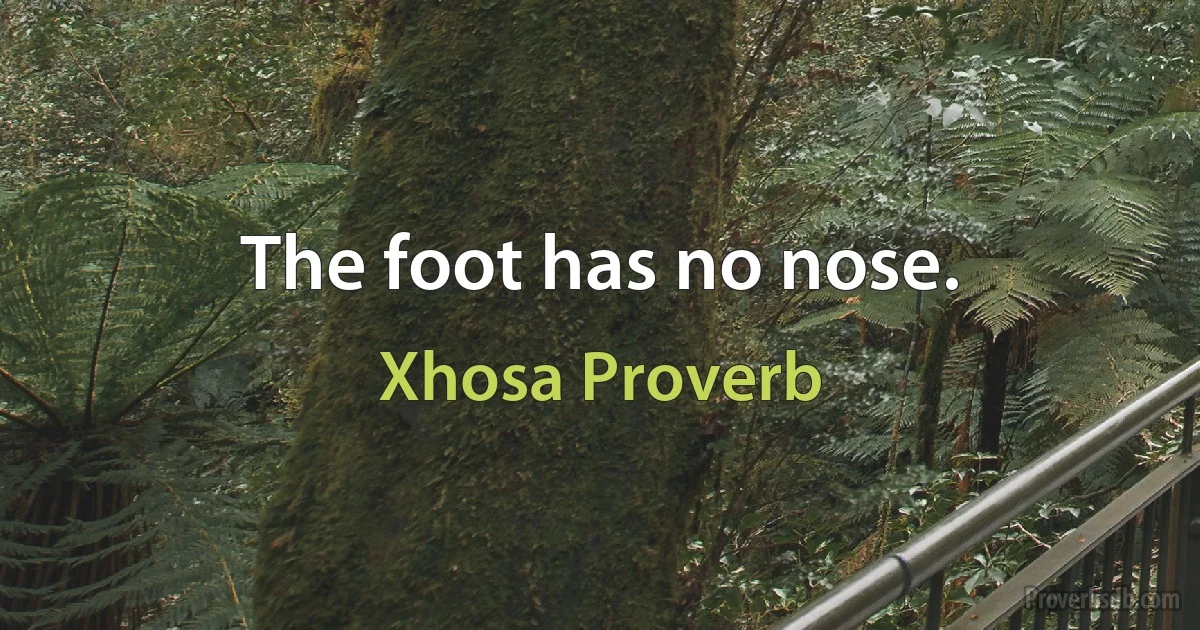 The foot has no nose. (Xhosa Proverb)