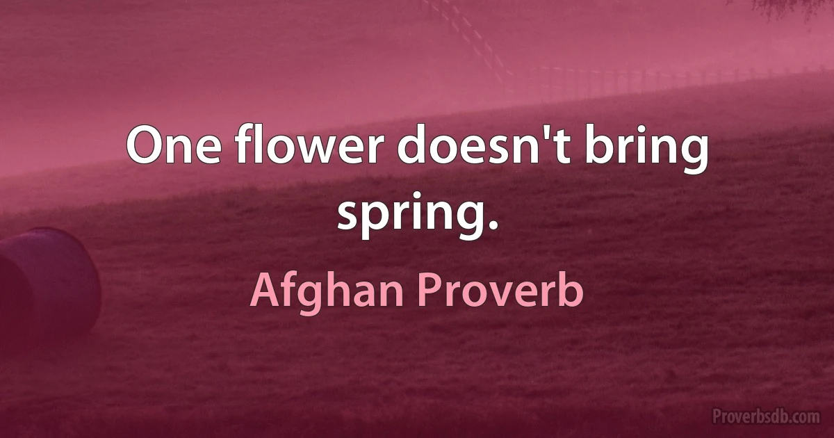 One flower doesn't bring spring. (Afghan Proverb)