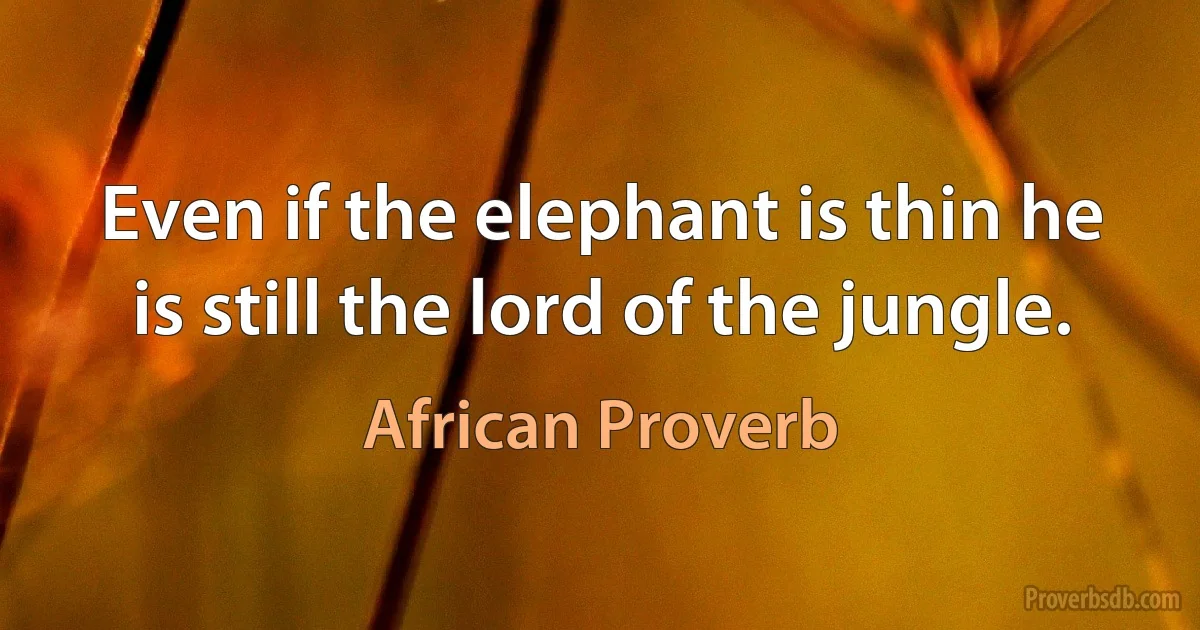 Even if the elephant is thin he is still the lord of the jungle. (African Proverb)