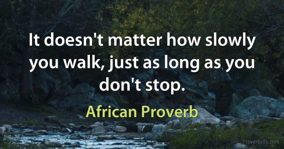 It doesn't matter how slowly you walk, just as long as you don't stop. (African Proverb)