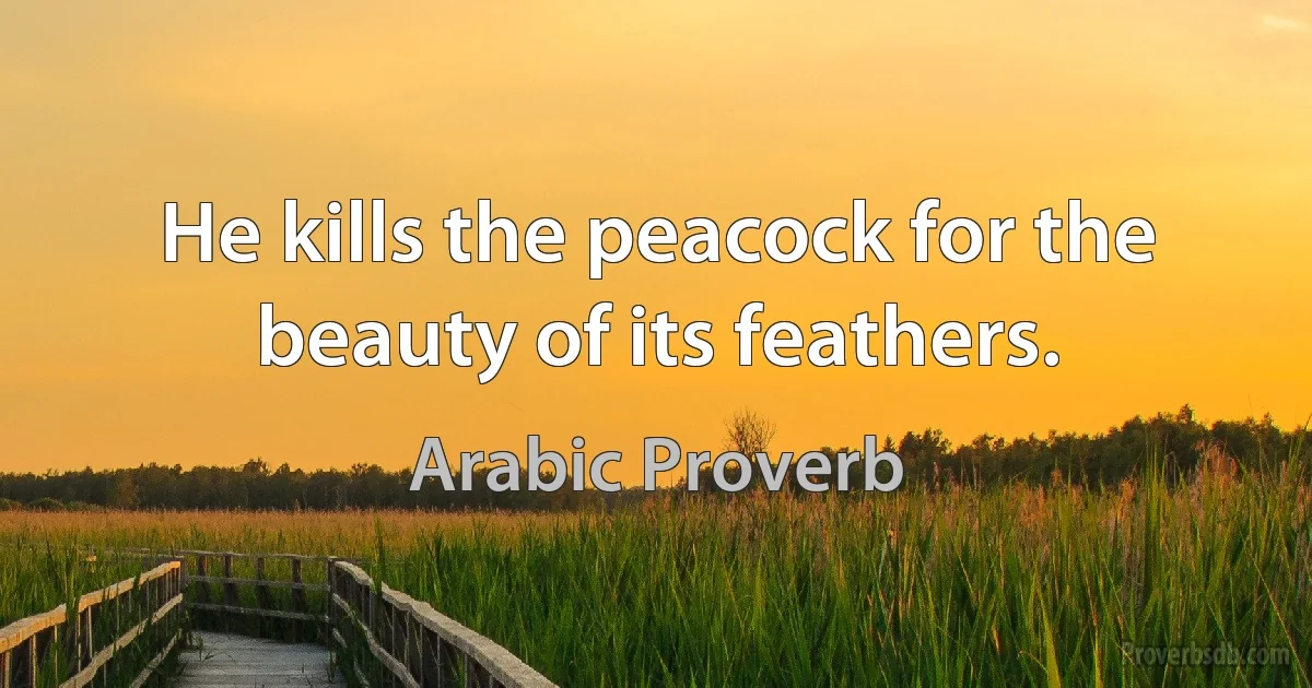 He kills the peacock for the beauty of its feathers. (Arabic Proverb)