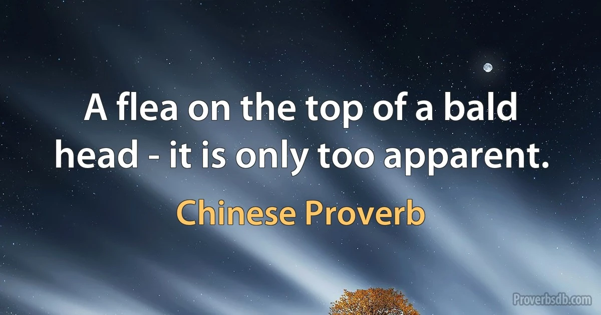 A flea on the top of a bald head - it is only too apparent. (Chinese Proverb)