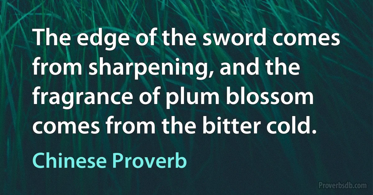 The edge of the sword comes from sharpening, and the fragrance of plum blossom comes from the bitter cold. (Chinese Proverb)